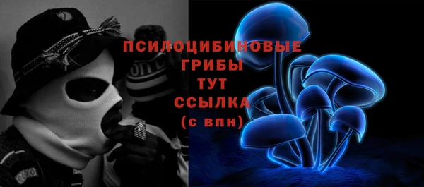 хмурый Михайлов