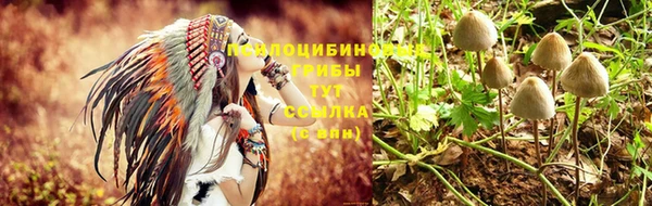 метадон Михайловск