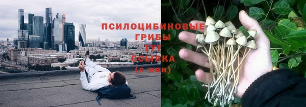 метадон Михайловск
