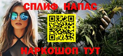бошки Гай