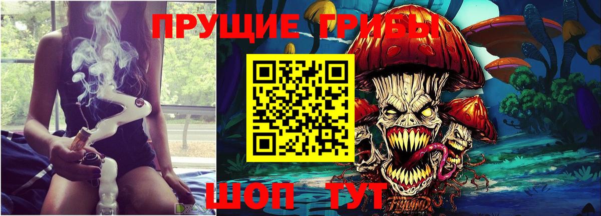 Галлюциногенные грибы Psilocybe  Псилоцибиновые грибы Cubensis  Донецк 